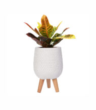 Honeycomb Style - Imagen 2